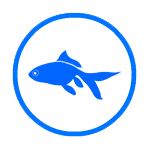 Freshwater Fish Category