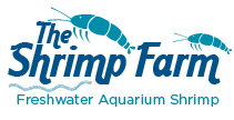 The Shrimpfarm